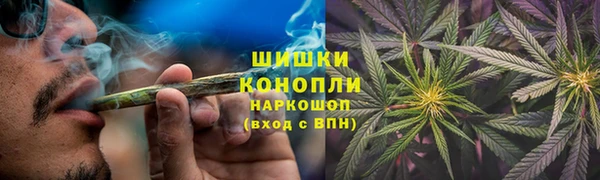PSILOCYBIN Козельск