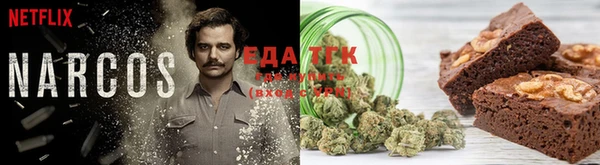 PSILOCYBIN Козельск