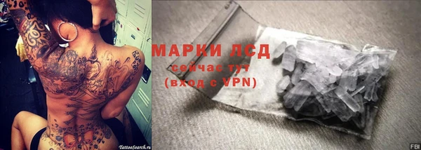 PSILOCYBIN Козельск